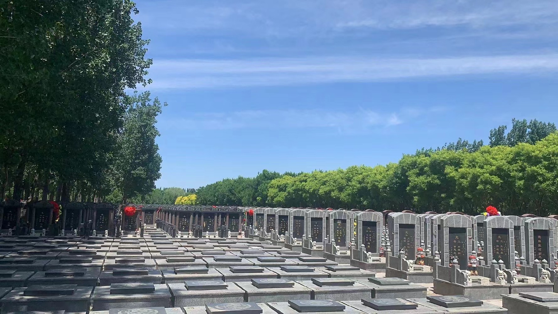 西园公墓两代墓的详细介绍