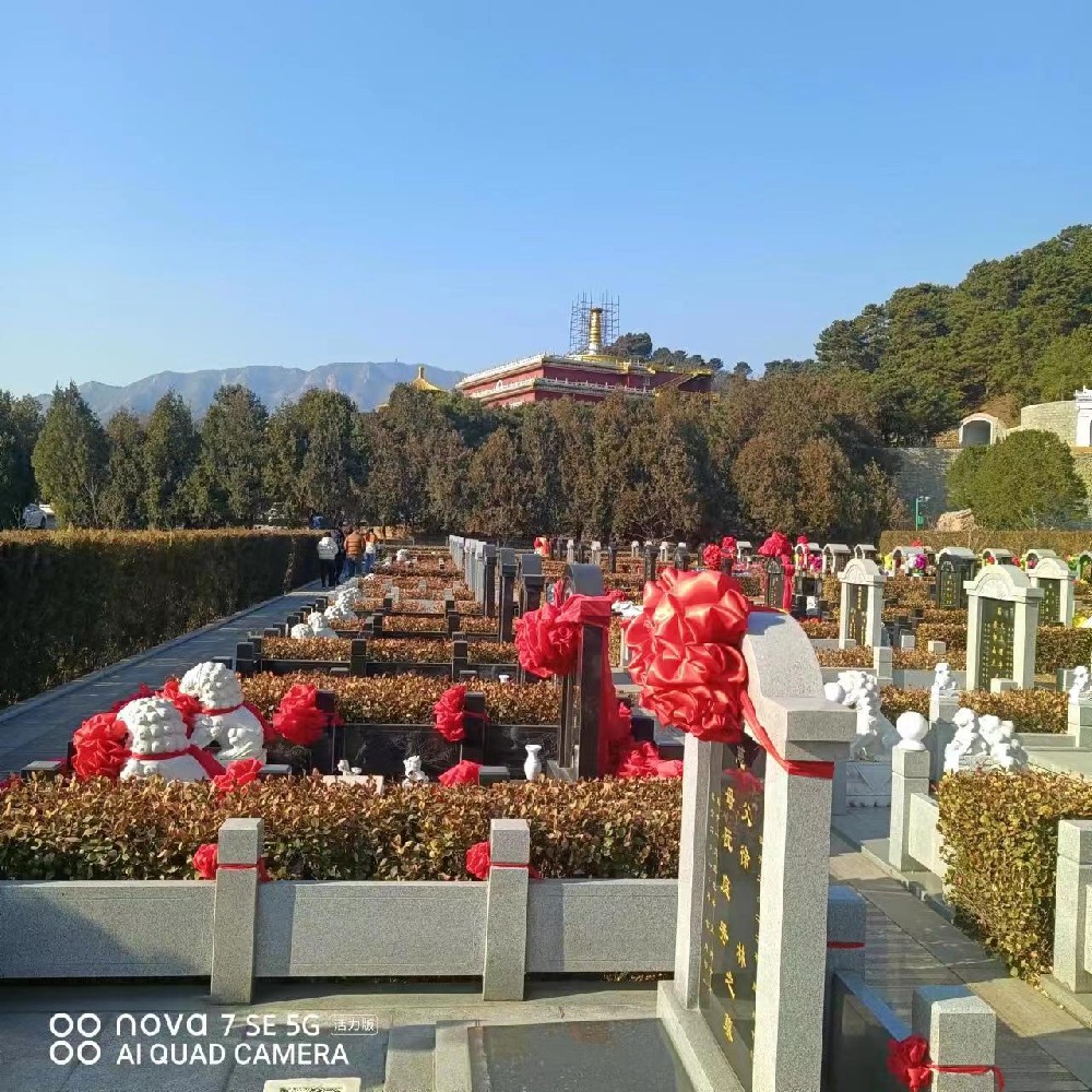 西园公墓-天津国营公墓-天津周边公墓-天津各地区公墓*新消息