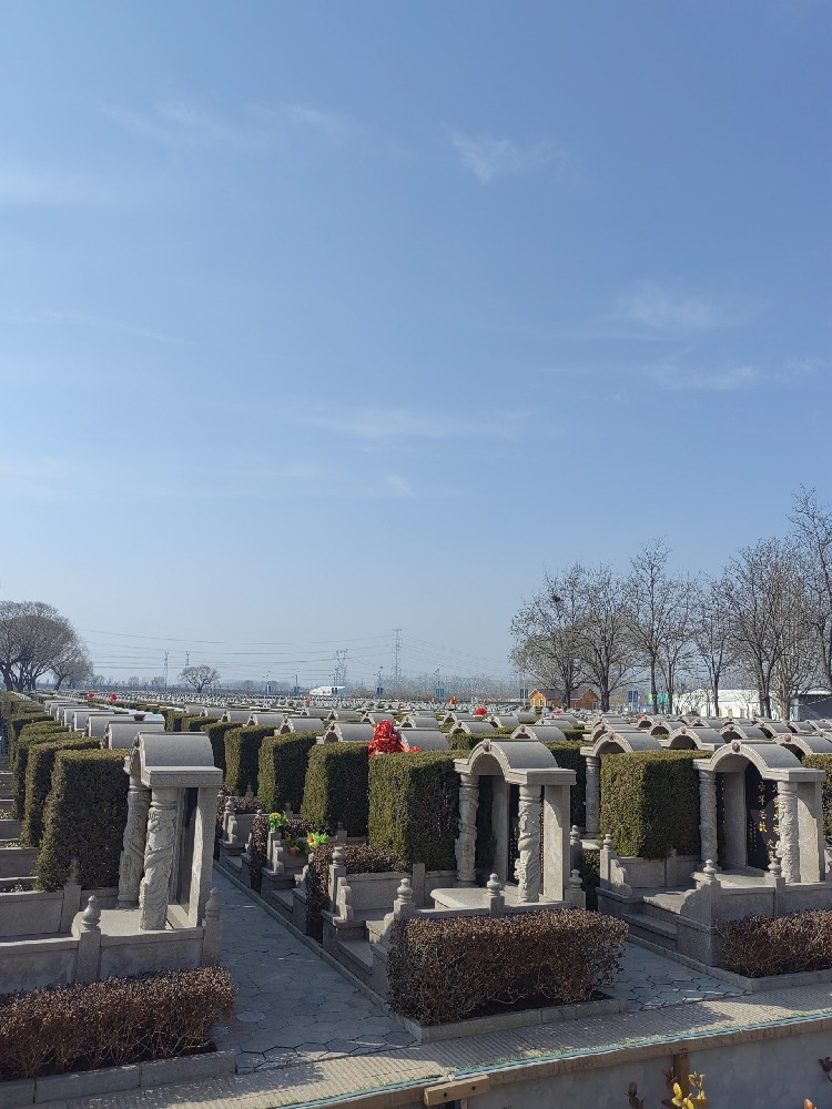 西园公墓/西园公墓业务咨询/西园公墓特价墓型