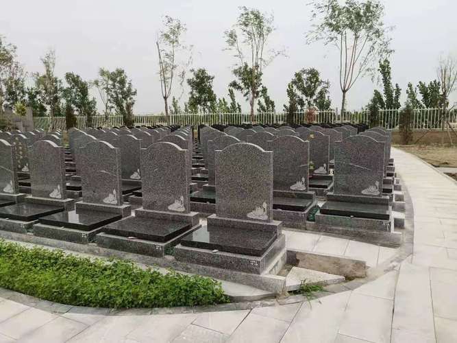 西园公墓是否提供墓地分期付款服务？