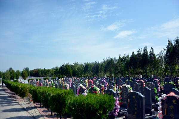 西园公墓是否接受预订？