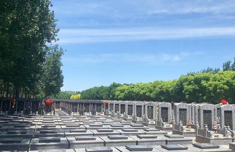 西园公墓是否提供墓地保险？