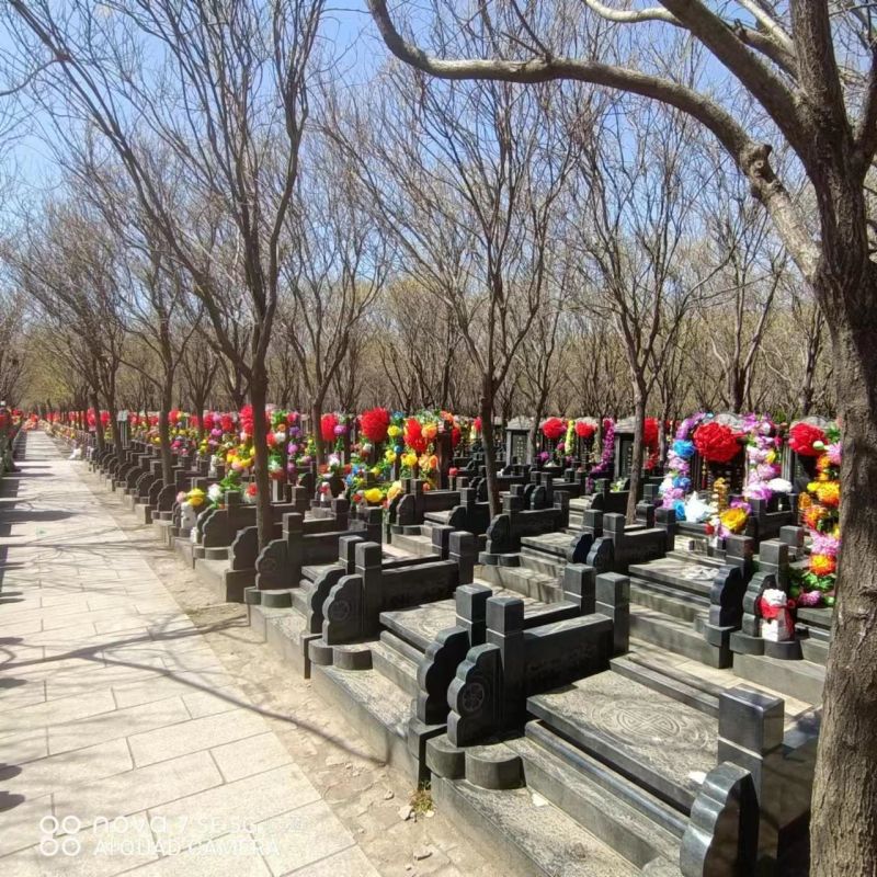 微信图片_20230412165809.jpg