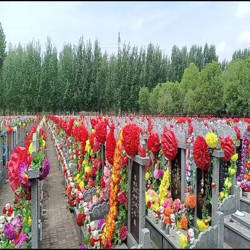 微信图片_20240408112001.jpg