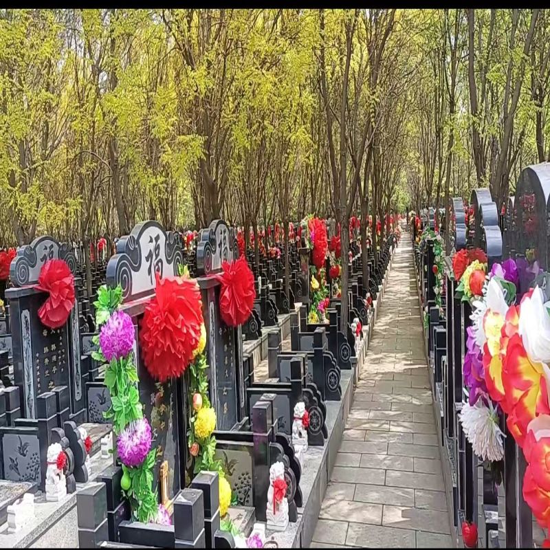 微信图片_20240408112004.jpg