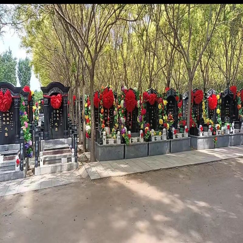 微信图片_20240408111946.jpg