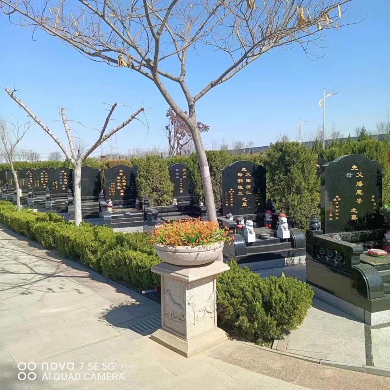 西园公墓-天津西园公墓绿植多吗？