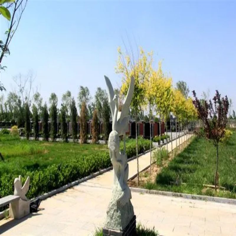 西园公墓-天津西园公墓购墓有设计吗？