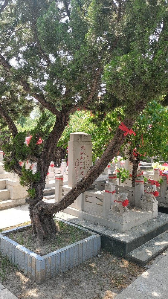 西园公墓-天津西园公墓供了一个绿色环保的纪念空间