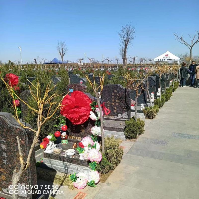 西园公墓-天津西园公墓环境卫生管理到位吗？