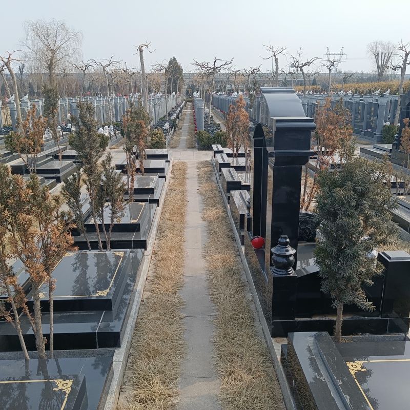 西园公墓-天津西园公墓有指定的焚烧处吗？