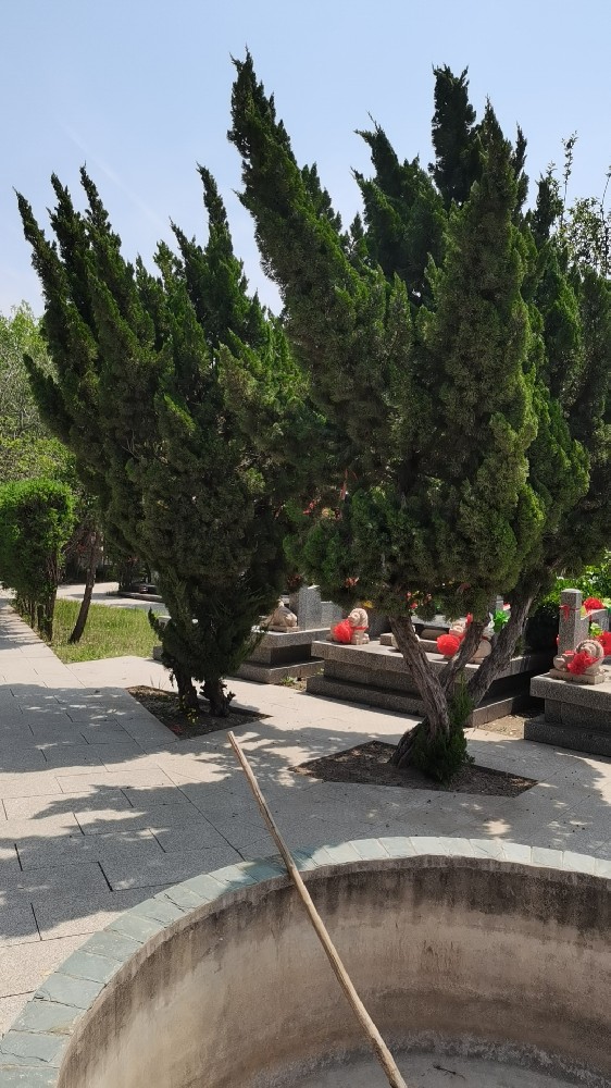 西园公墓-霸州西园公墓如何维护逝者安息之地？