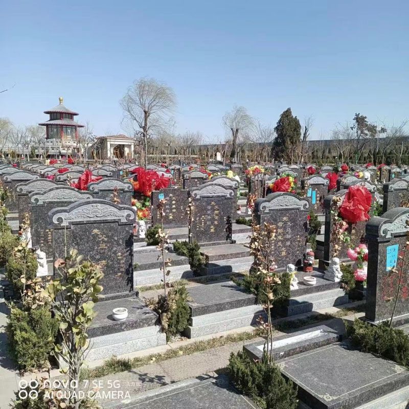 西园公墓-霸州西园公墓绿化的布局？