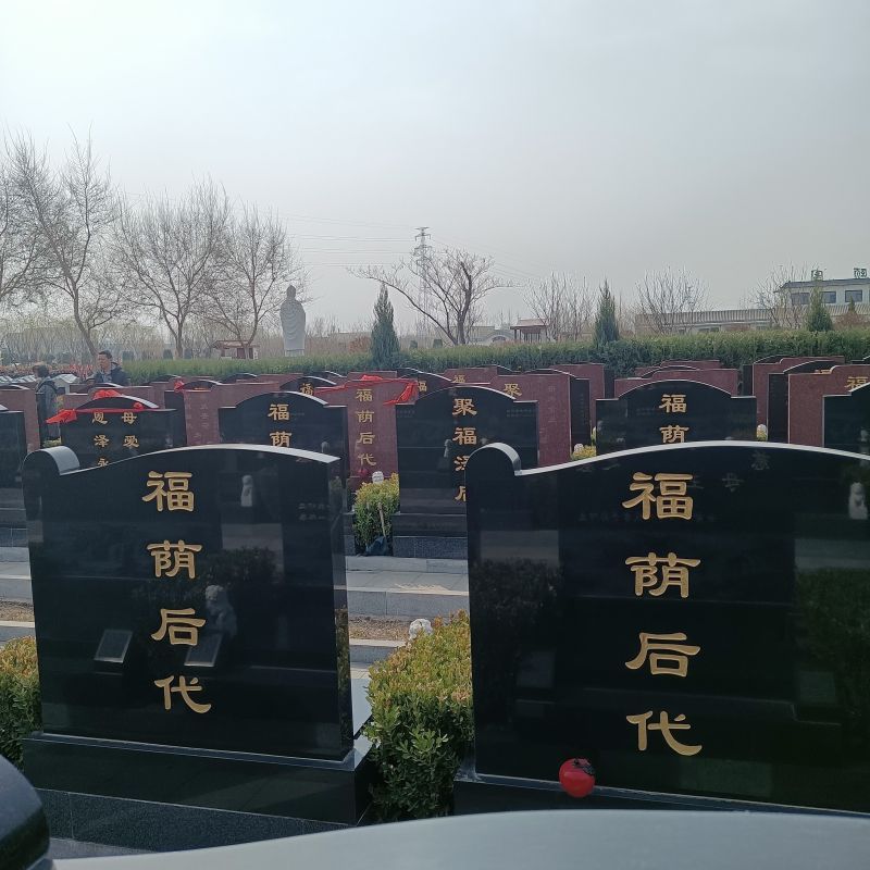 西园公墓-霸州西园公墓会减少对环境的影响吗？