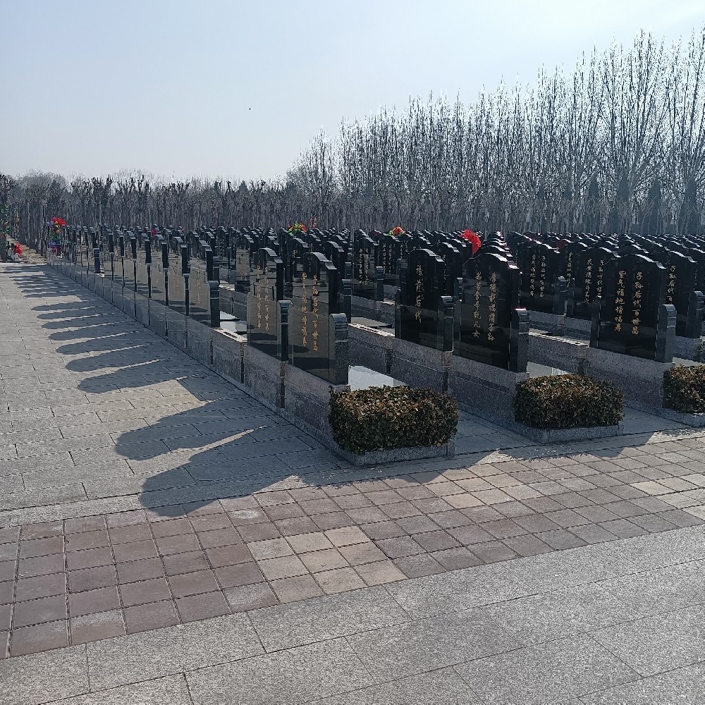西园公墓-天津西园公墓会引入多样化的植被吗？
