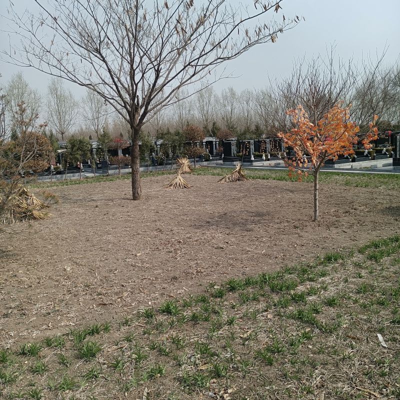 西园公墓-西青西园公墓有各种殡葬服务套餐吗？