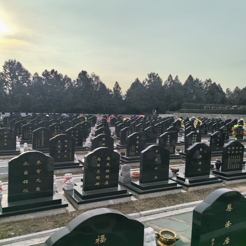 西园公墓-西青西园公墓一个冥想和回忆的空间
