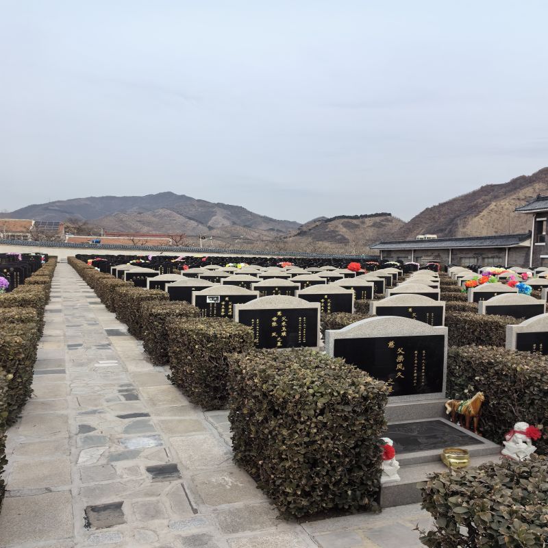 西园公墓-西青西园公墓为思念搭建一个温柔的世界