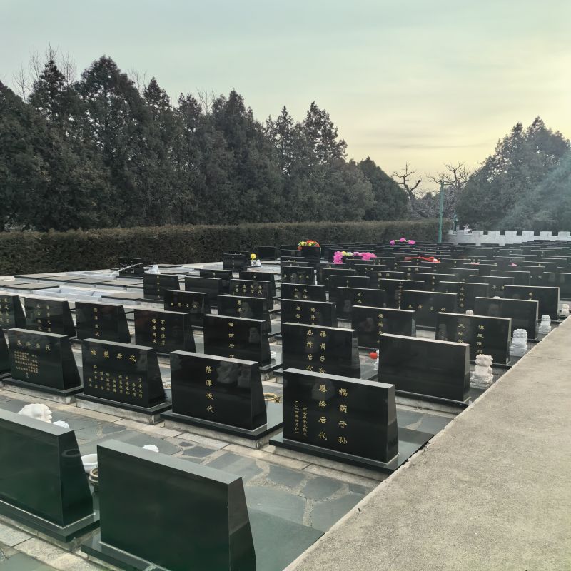 西园公墓-西青西园公墓缅怀先人的安宁之地