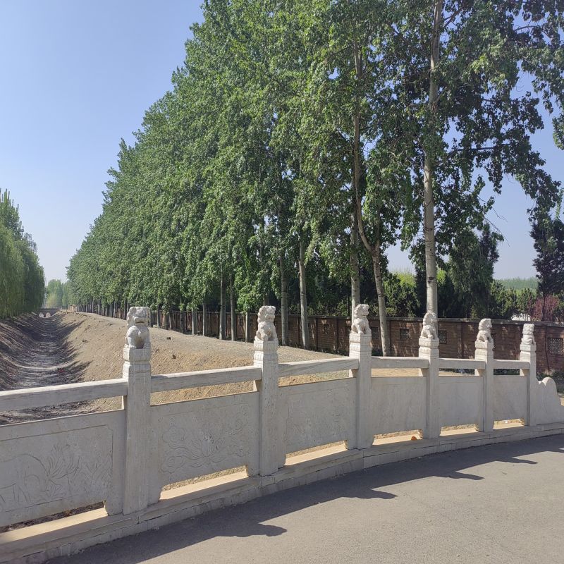 西园公墓-西青西园公墓感受生命的延续