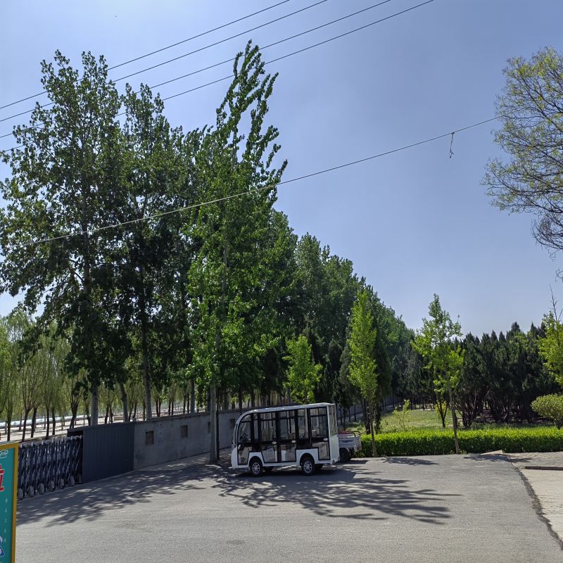 西园公墓-西青西园公墓告诉您生命的意义是什么？