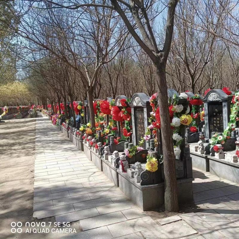 西园公墓-西青西园公墓对于生命与逝者的深刻敬意