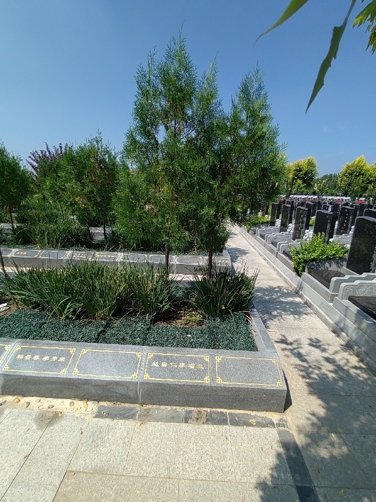 西园公墓-西青西园公墓重新审视生命的意义
