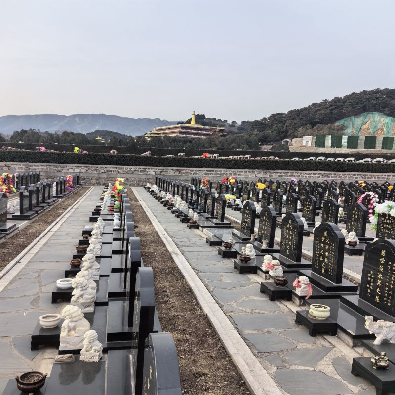 西园公墓-西青西园公墓会传播生命教育吗？