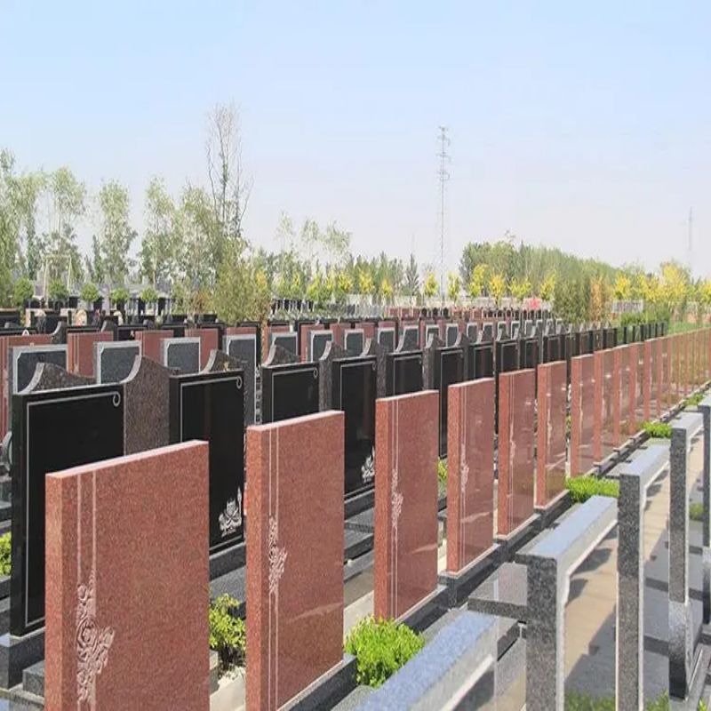 西园公墓-西青西园公墓会提供普惠性服务吗？