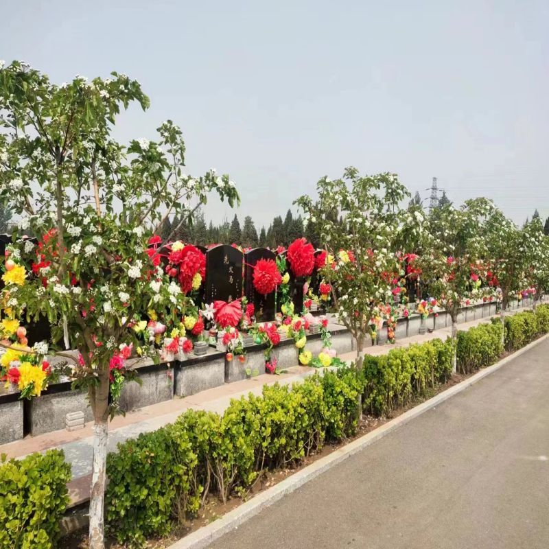 1765330663166474.jpg 微信图片_20240401183833.jpg