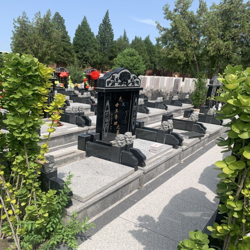 1765330877150068.jpg 微信图片_20240401183911.jpg